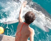 Холли Берри познакомилась с акулами