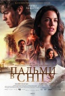 Пальмы в снегу Пальмы в снегу