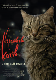 Королевство котов