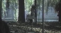 Омен Тизер