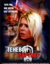 Теневой партнер