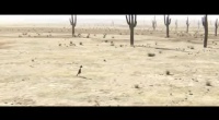 Ранго (укр. трейлер)