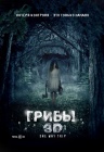 Грибы