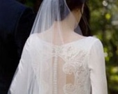 Фанатки "Сумерек" не дают продавать свадебное платье Беллы