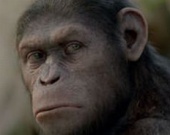 Объявлена дата премьеры сиквела "Восстания планеты обезьян"