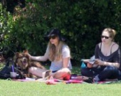 Аманда Сайфред на пикнике с собачкой
