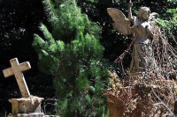 Я Франкенштейн