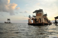 Звери дикого Юга