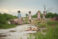 Звери дикого Юга