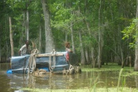 Звери дикого Юга