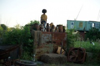 Звери дикого Юга