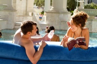 Фортуна Вегаса