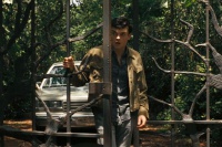 Прекрасні створіння