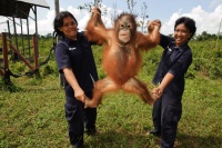 Народжені бути вільними