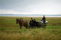 Щоденники з Полла