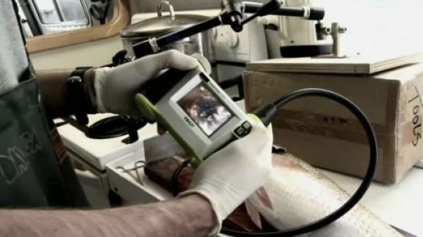 И напоследок — очередной голливудский ужастик! Фильм "Залив" расскажет мрачную историю о том, как в красивом городе на берегу залива всколыхнула ужасающая информация от французских биологов... Но ничто не заставит людей сдвинутся с места, пока цепь странн