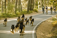 Конец света