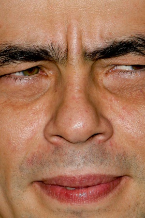 Бенсион Дель Торо