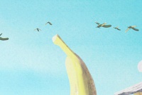 Облачно, возможны осадки в виде фрикаделек 2