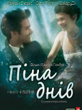Пена дней