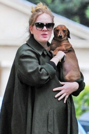 Самые таинственные роды года произошли 20 октября – своего первенца родила певица Адель. Имя мальчика держится в секрете.