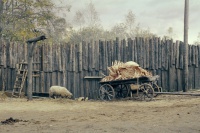 В тумані