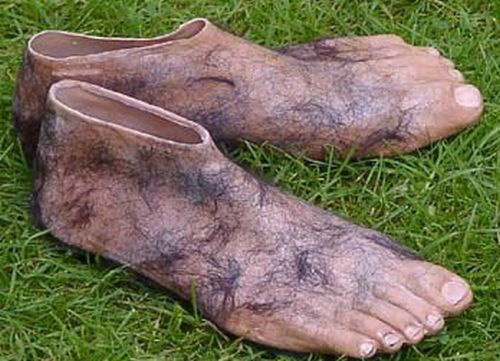 "Властелин колец"