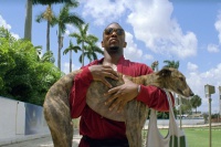 Кров'ю і потом: анаболіки