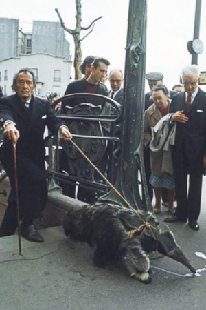 Сальвадор Дали с домашним муравьедом у выхода из метро, 1969 год. Как оказалось, Дали часто выгуливал своего домашнего питомца на золотом поводке по улицам Парижа и являлся на светские приемы. Сальвадор Дали с домашним муравьедом у выхода из метро, 1969 год. Как оказалось, Дали часто выгуливал своего домашнего питомца на золотом поводке по улицам Парижа и являлся на светские приемы.