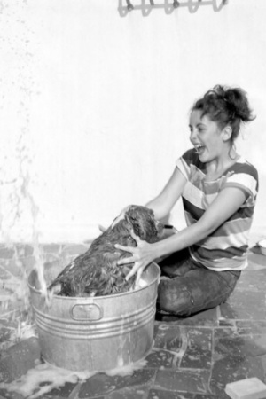 Юная Элизабет Тейлор со своей собакой