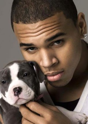 Замкнул двадцатку Крис Браун