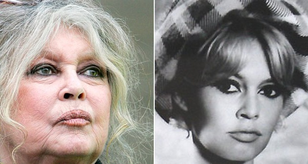 78-летняя Бриджит Бардо поистине одна из самых красивых женщин нашей эпохи. Несмотря на возраст актриса предпочитает вкладывать финансы в защиту животных нежели чем в пластическую хирургию.