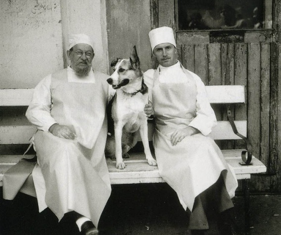 "Собачье сердце"