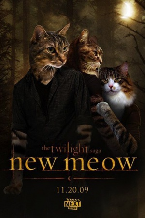 "Сумерки. Сага. Новое мяу" ("Новая луна", англ. "New moon")