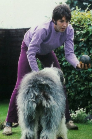 Пол МакКартни