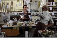 Шоколадні поцілунки