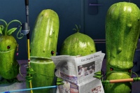 Облачно, возможны осадки в виде фрикаделек 2