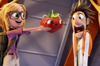 Облачно, возможны осадки в виде фрикаделек 2