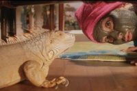 Полярний рейс