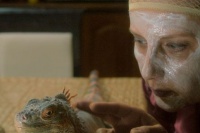 Полярний рейс