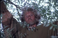 Юність Бембі