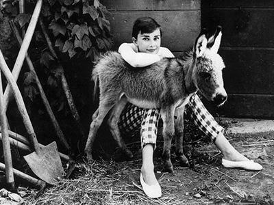 Одри Хепберн Одри Хепберн