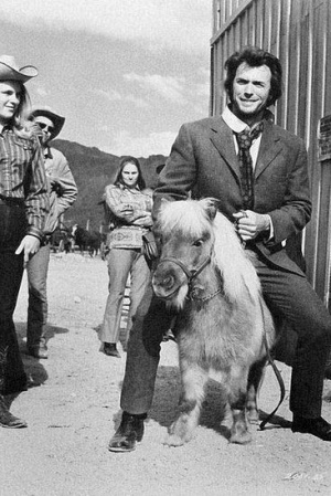 Клинт Иствуд Клинт Иствуд