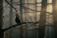 Прогулки с динозаврами