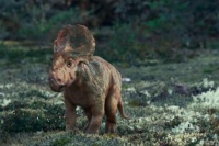 Прогулки с динозаврами