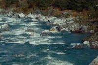 Прогулки с динозаврами