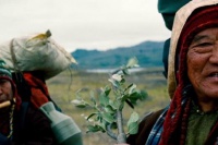 Таємне життя Уолтера Мітті