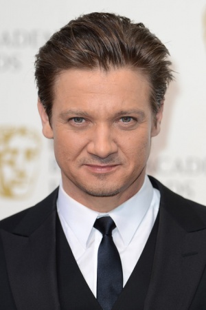 Джереми Реннер продает недвижимость