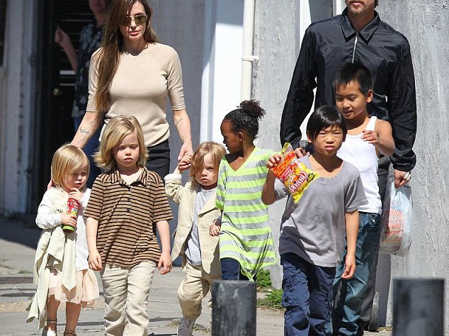 Семья Джоли и Питта с примеными и родными детьми