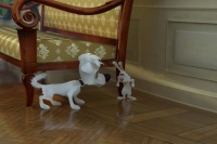 Білка і Стрілка: Місячні пригоди